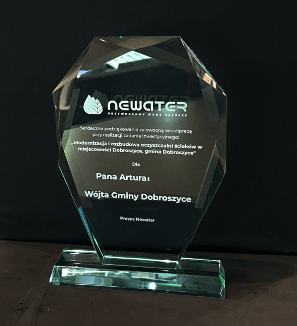 Statuetka-Topaz-6-zagrawerowani Statuetka-Topaz-6-zagrawerowani