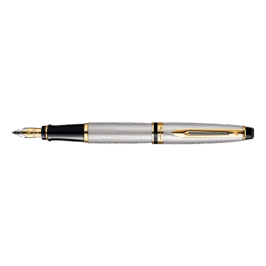 Pióro Wieczne Waterman Expert Stalowe GT